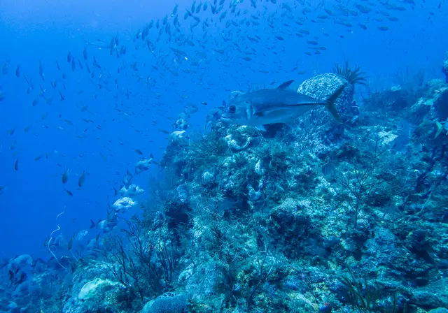 Un passage rocheux sous-marin traversé par la lumière