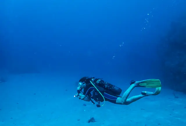 Un plongeur en dérive au-dessus d'un fond de sable clair, dans le bleu